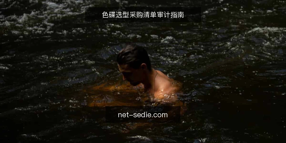 色碟选型采购清单审计指南 — 为什么现在需要审计色碟选型 配图