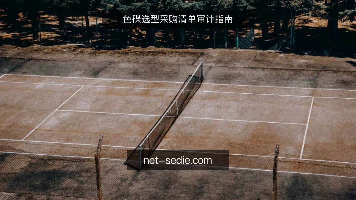 色碟选型采购清单审计指南