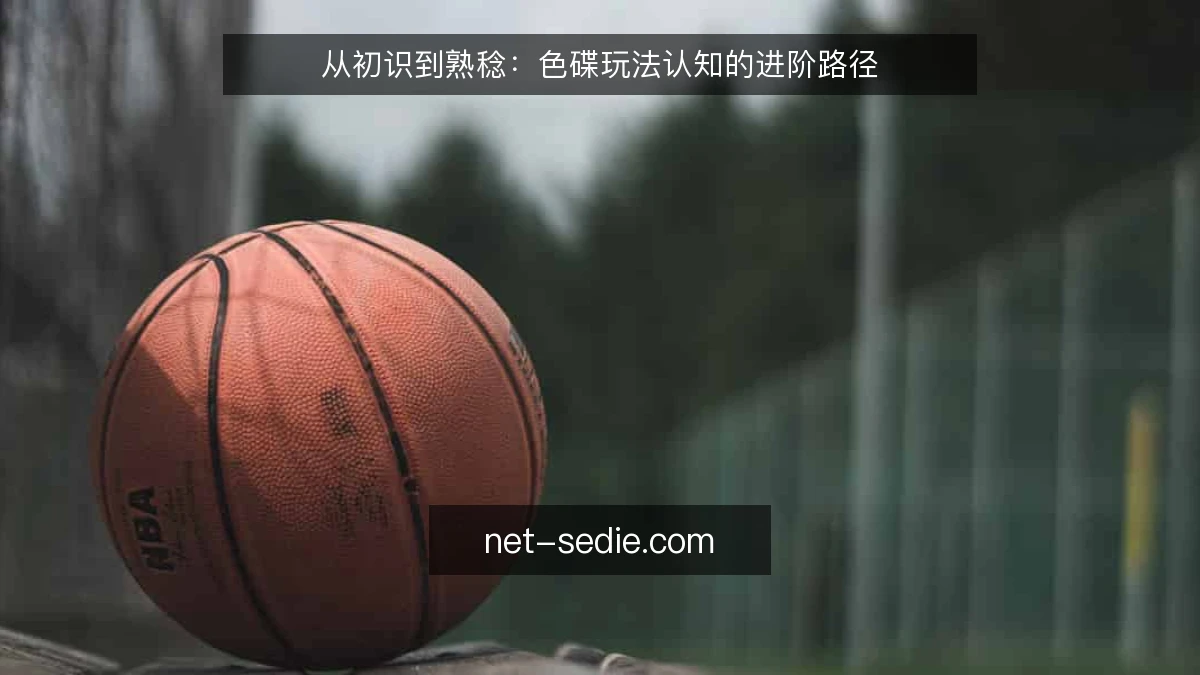 从初识到熟稔:色碟玩法认知的进阶路径