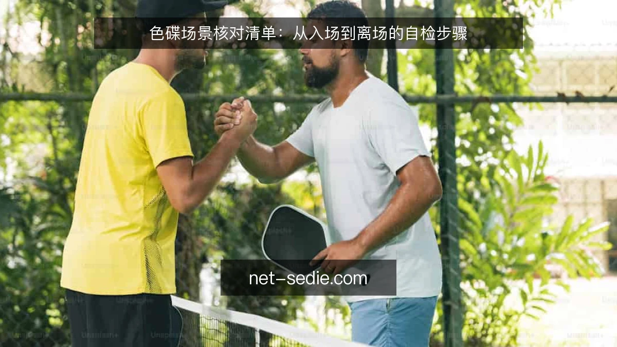 色碟场景核对清单：从入场到离场的自检步骤