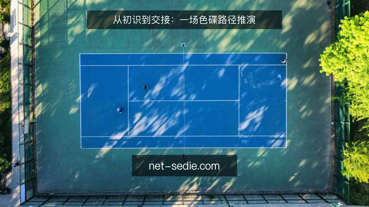 从初识到交接：一场色碟路径推演