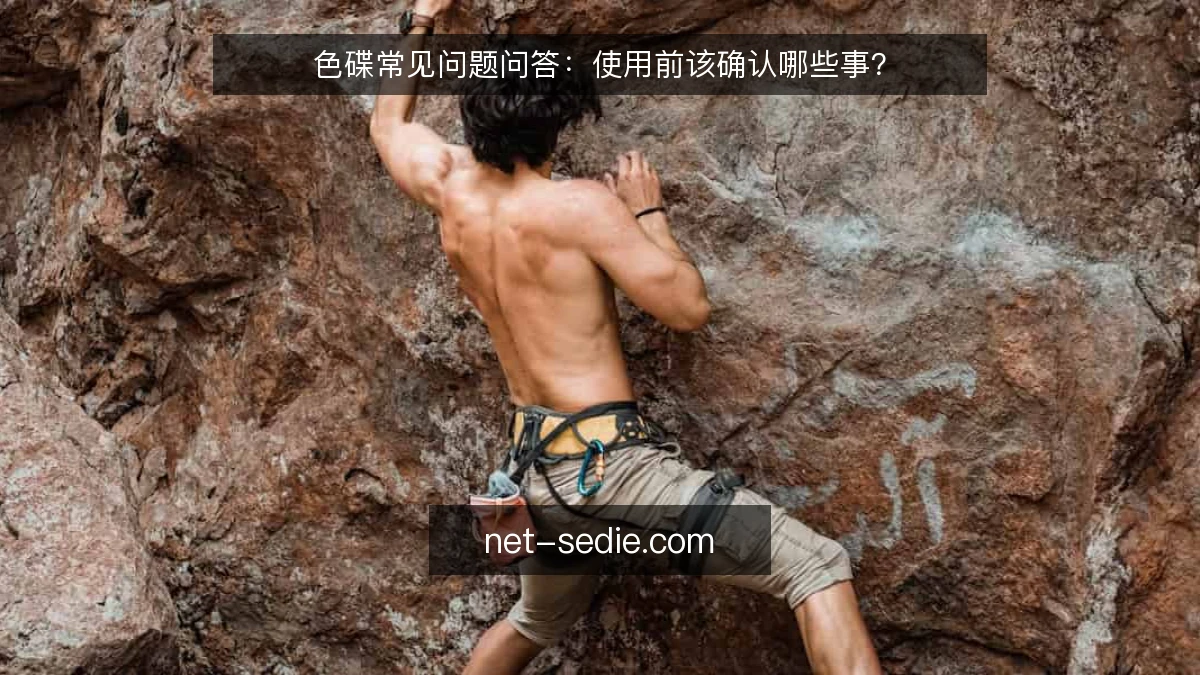 色碟常见问题问答：使用前该确认哪些事？