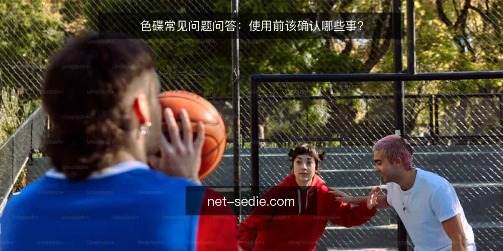 色碟常见问题问答：使用前该确认哪些事？ — 色碟问题从哪来：先理清提问场景 配图