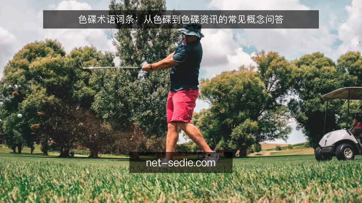 色碟术语词条：从色碟到色碟资讯的常见概念问答