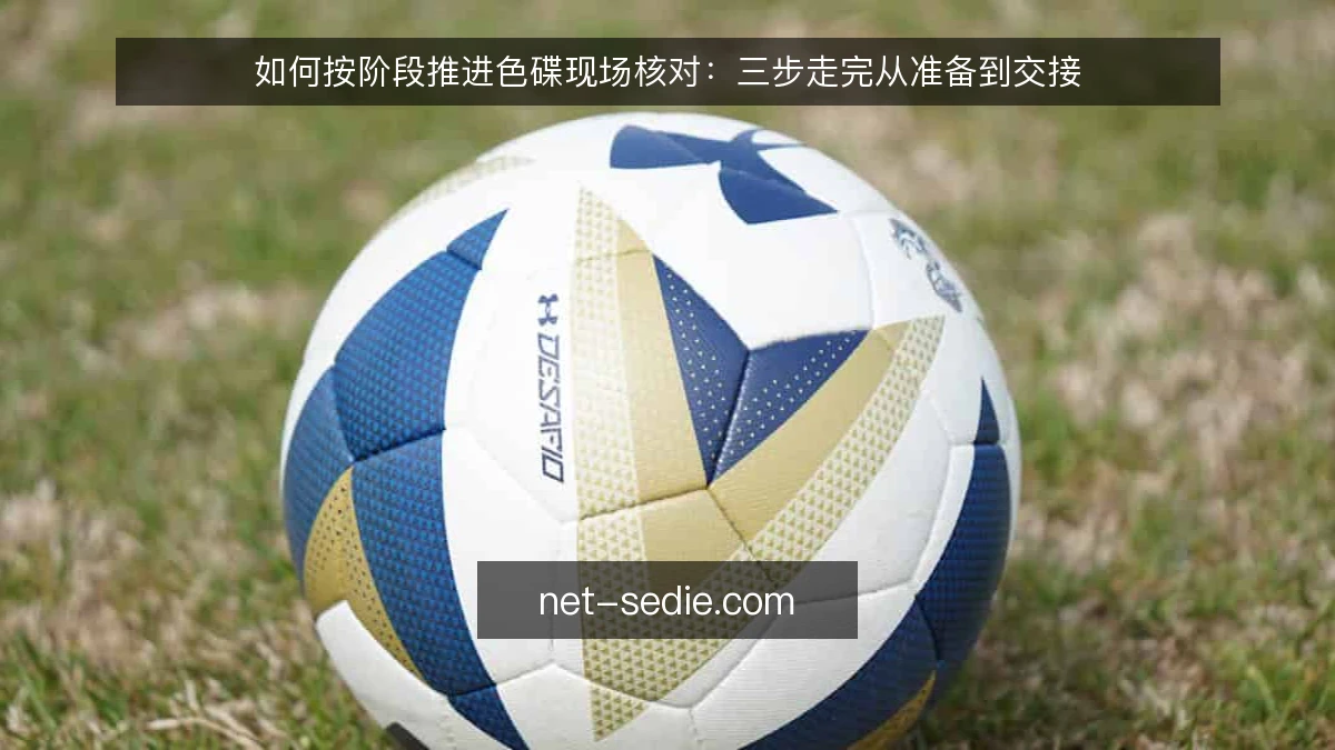 如何按阶段推进色碟现场核对：三步走完从准备到交接