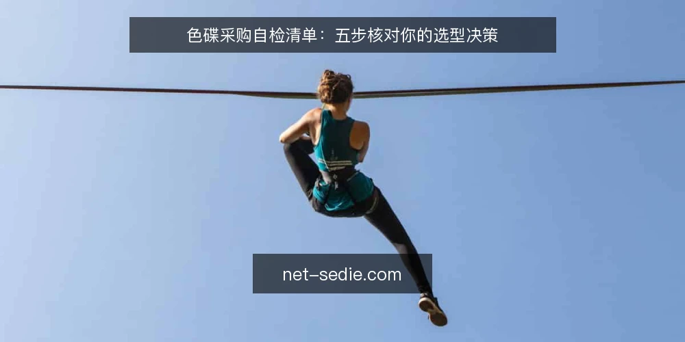 色碟采购自检清单:五步核对你的选型决策 — 先定义你的采购需求 配图