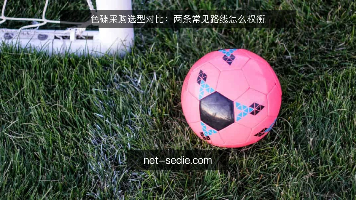 色碟采购选型对比：两条常见路线怎么权衡