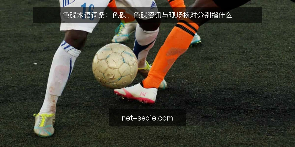 色碟术语词条：色碟、色碟资讯与现场核对分别指什么 — 色碟与色碟资讯：先分清两个词条 配图